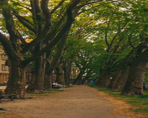 A person walking through an autumn park pathway in a Polish city, enjoying light physical movement