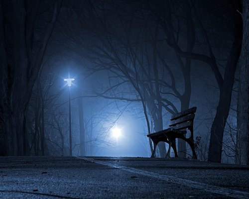 A peaceful view of an empty park bench in Poland during a calm afternoon